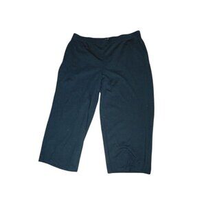 Eileen Fisher Size 2X STRETCH Plus Size Steel Gray Knit Pants